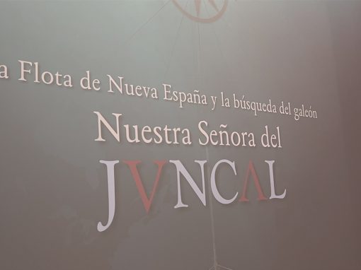 EXPOSICIÓN NUESTRA SEÑORA DEL JUNCAL